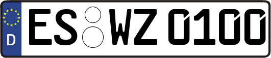 ES-WZ0100