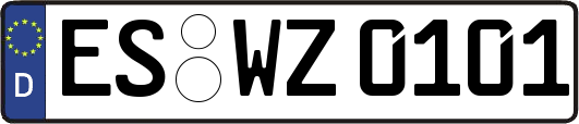 ES-WZ0101