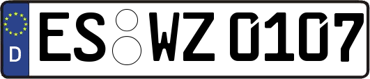 ES-WZ0107