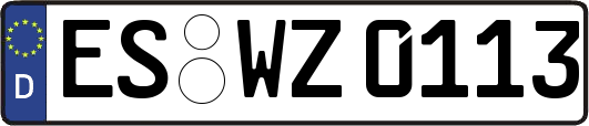 ES-WZ0113