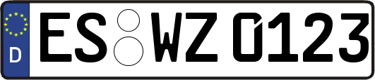 ES-WZ0123