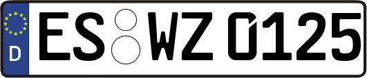 ES-WZ0125