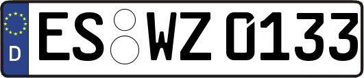ES-WZ0133