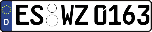 ES-WZ0163