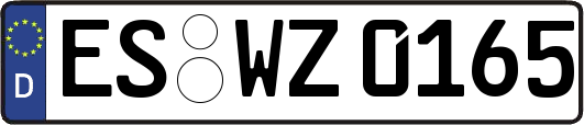 ES-WZ0165
