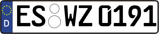 ES-WZ0191