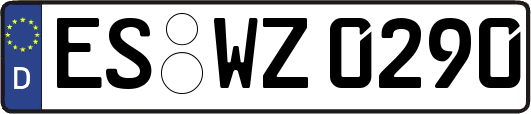 ES-WZ0290