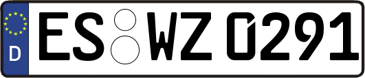 ES-WZ0291