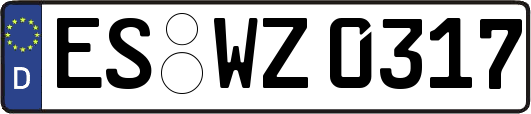 ES-WZ0317