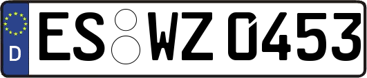 ES-WZ0453