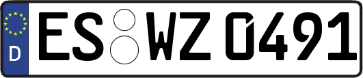 ES-WZ0491