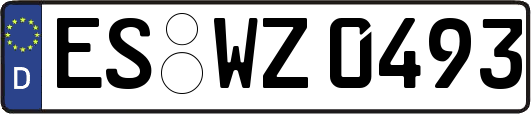 ES-WZ0493