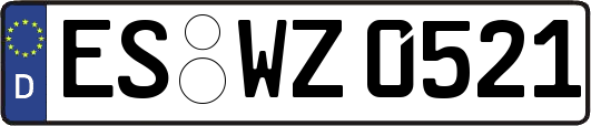 ES-WZ0521