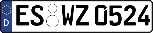 ES-WZ0524