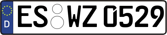 ES-WZ0529