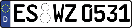 ES-WZ0531
