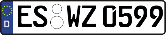 ES-WZ0599