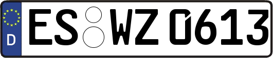 ES-WZ0613