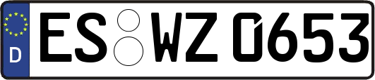ES-WZ0653