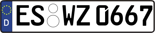 ES-WZ0667