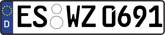 ES-WZ0691