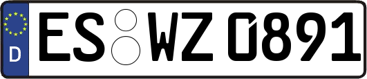 ES-WZ0891