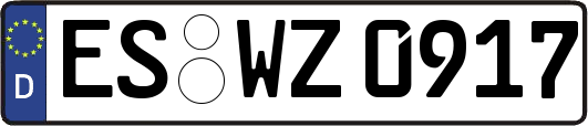 ES-WZ0917