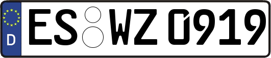 ES-WZ0919