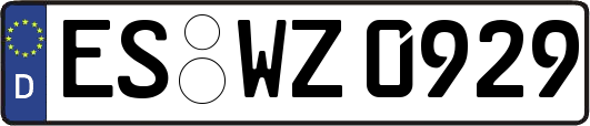ES-WZ0929