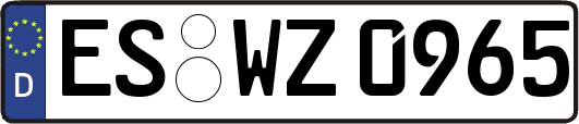 ES-WZ0965
