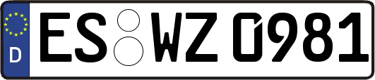 ES-WZ0981