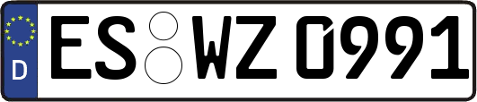 ES-WZ0991