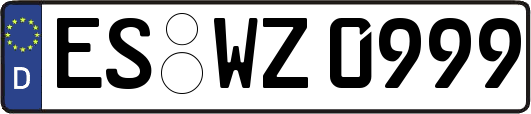 ES-WZ0999