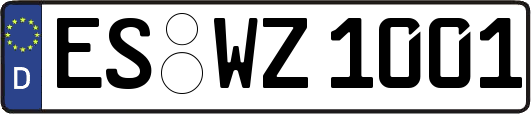 ES-WZ1001