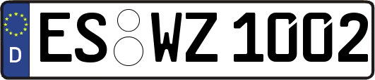 ES-WZ1002
