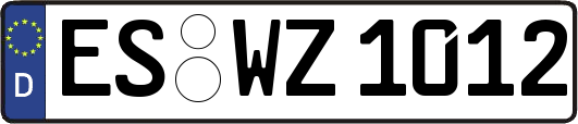 ES-WZ1012