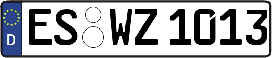 ES-WZ1013