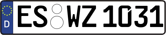 ES-WZ1031