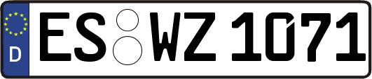 ES-WZ1071