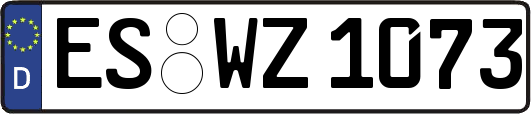 ES-WZ1073