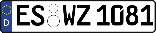 ES-WZ1081