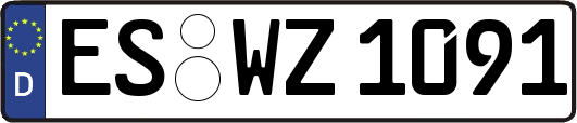 ES-WZ1091