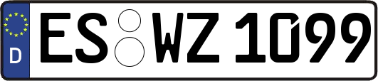 ES-WZ1099