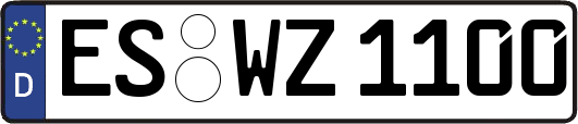 ES-WZ1100