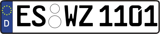 ES-WZ1101