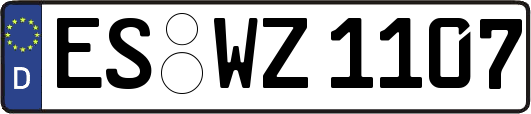 ES-WZ1107