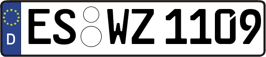 ES-WZ1109
