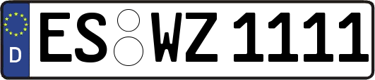 ES-WZ1111