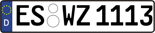 ES-WZ1113
