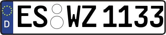 ES-WZ1133